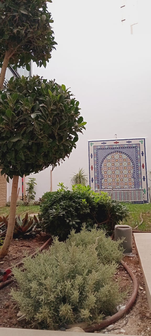 Jardin intérieur et mosaïque